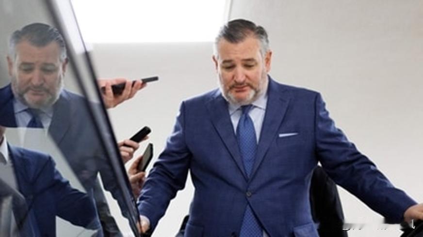 《印度教徒报》1月26日报道，外泄的美参议员通话音频揭露美印贸易谈判遇阻原因，暴