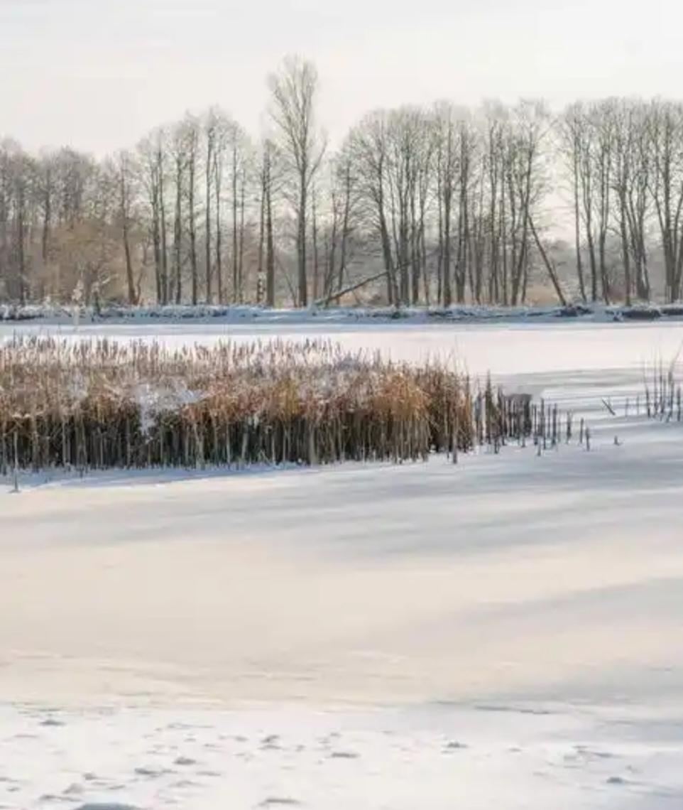 近期，有网友在黑龙江等地发起所谓“北国寒地荒野挑战”，宣称奖金高达100万元，要