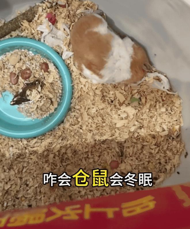 笑不活了！河南，近日天气酷热难耐，大家都想尽办法降温，有位女子为了能在炎炎夏日寻