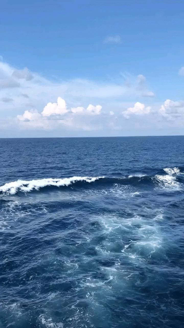 18亿官司背后，这个“铁娘子”凭啥成女性标杆？提起宗馥莉，没人敢说她是躲在父