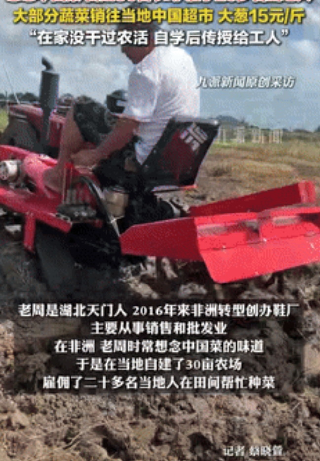 “刻在骨子里的种地基因！”湖北，一大叔在非洲开鞋厂，突然馋家乡菜了，于是说干就干