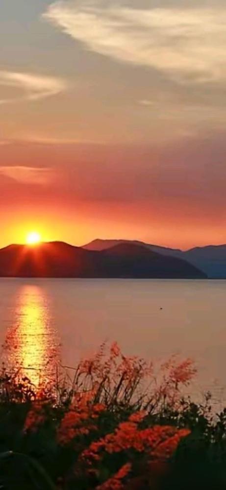 邻居王姐老公在四十多岁就走了，她一个人带着儿子说，今年都五十六岁了，去年经人介绍