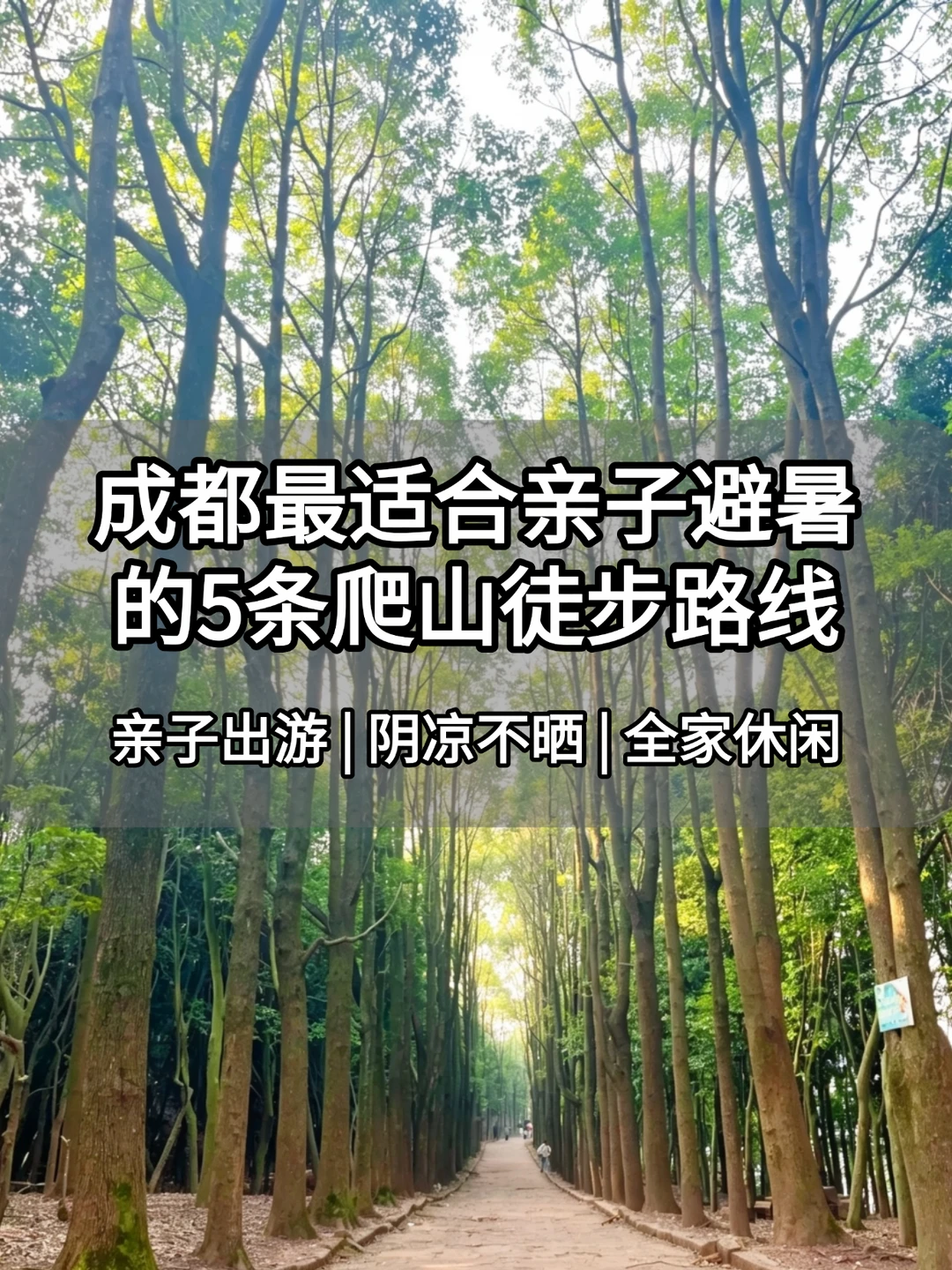 成都最适合亲子避暑的5个徒步爬山路线！