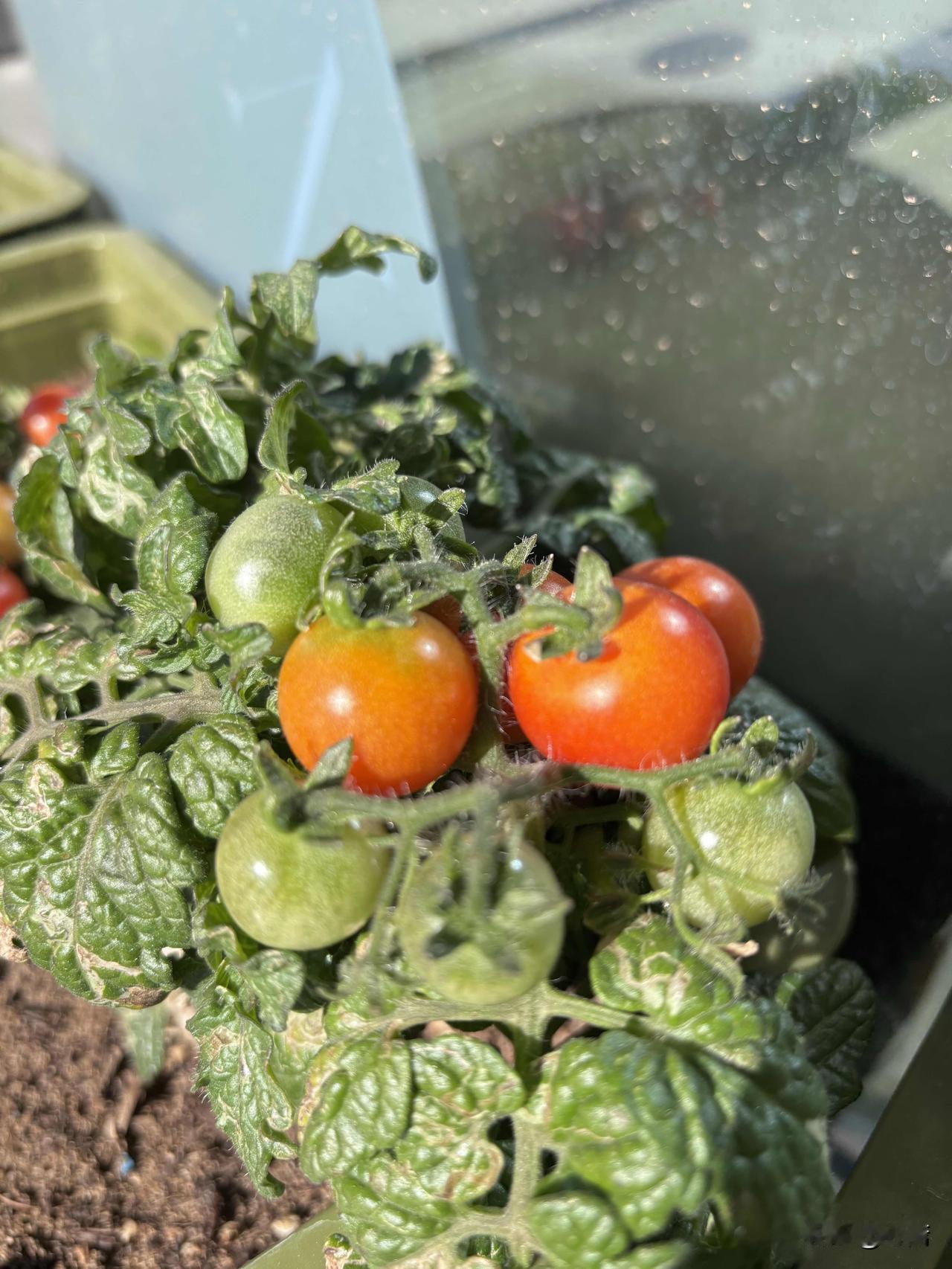 哈哈哈！骗子给我妈打电话，说我爸嫖娼被抓了，要她拿钱赎人。我妈无语地看了