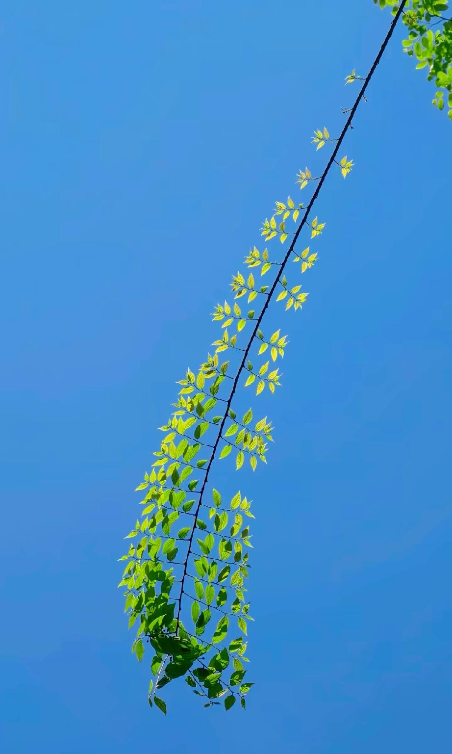 女人是离不开男人的，中药又苦又贵。男人才是女人的保养品。看清一个男人，就看他回你