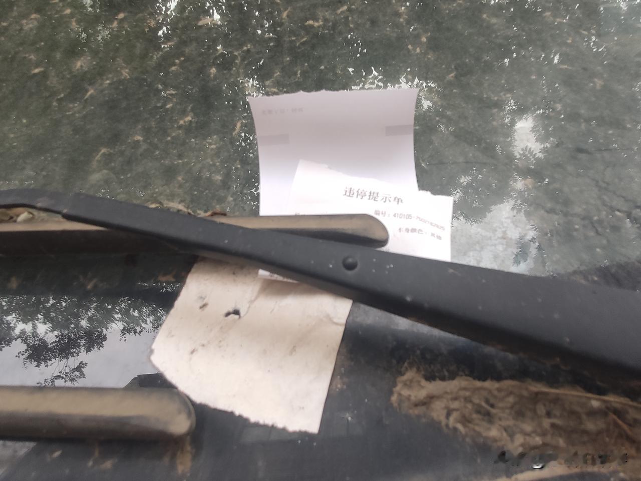 郑州街头随手拍:这里的停车不怕贴条？今天在郑州街头一条街边看到自南向北停放了一长