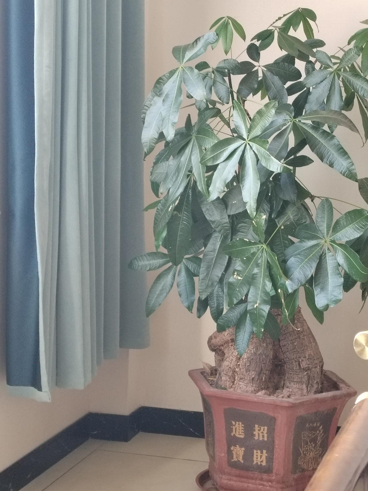 96年，一次偶然的机会，我到亲戚的酒店帮了几天忙，发现酒店生意很红火，很赚钱，于