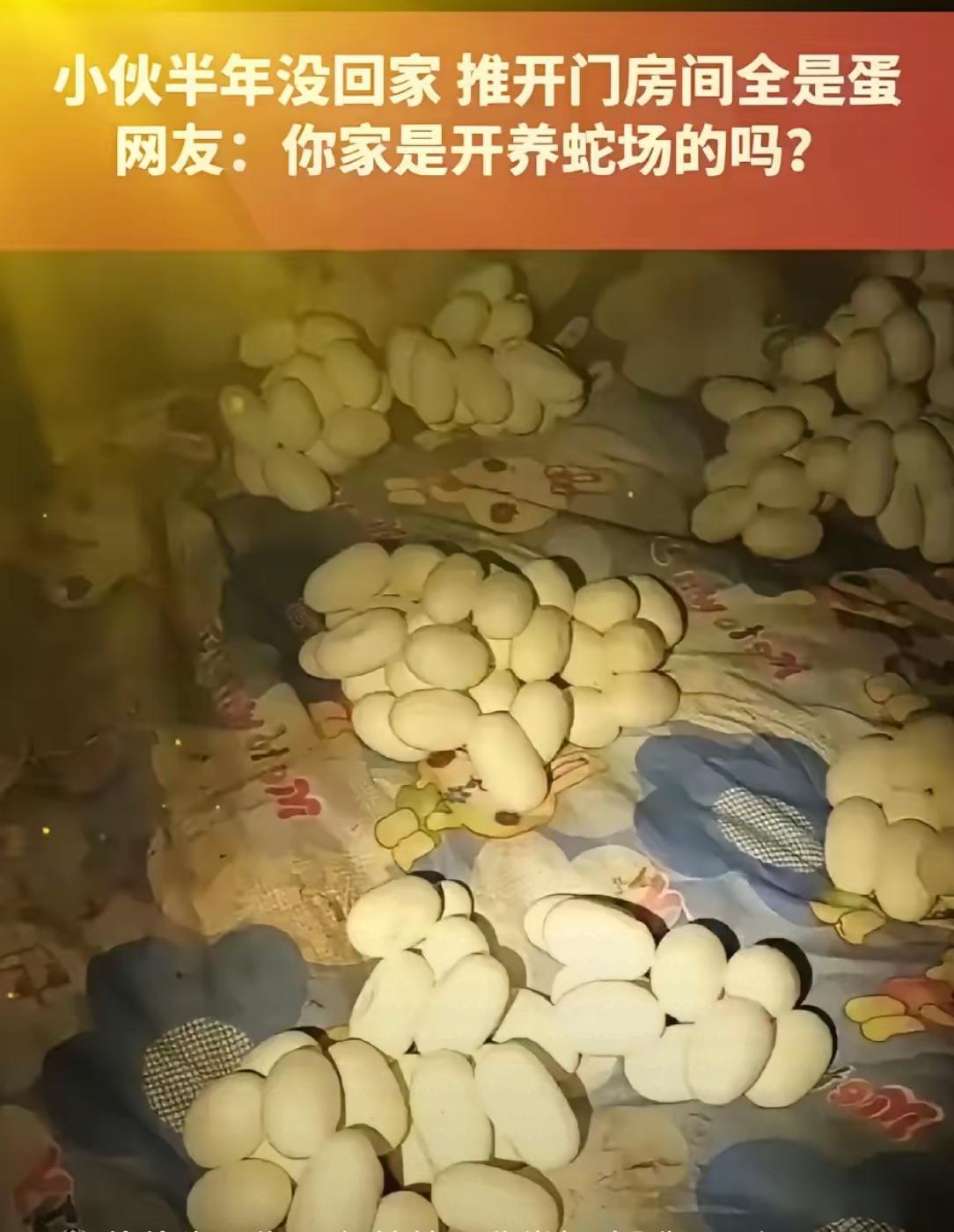 吓哭了！6月12日，江西一小伙整整半年没有回过家，最近，他返回自己久无人居的住处