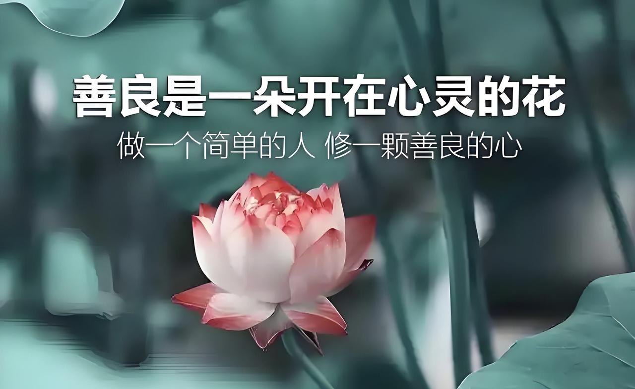 很乐意回答这个话题。本人认为：善良是生命馈赠给我们的无形财富！善良并非空