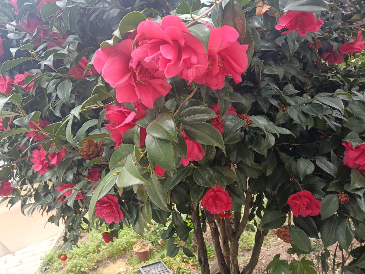 横店晚上有哪些景点好玩