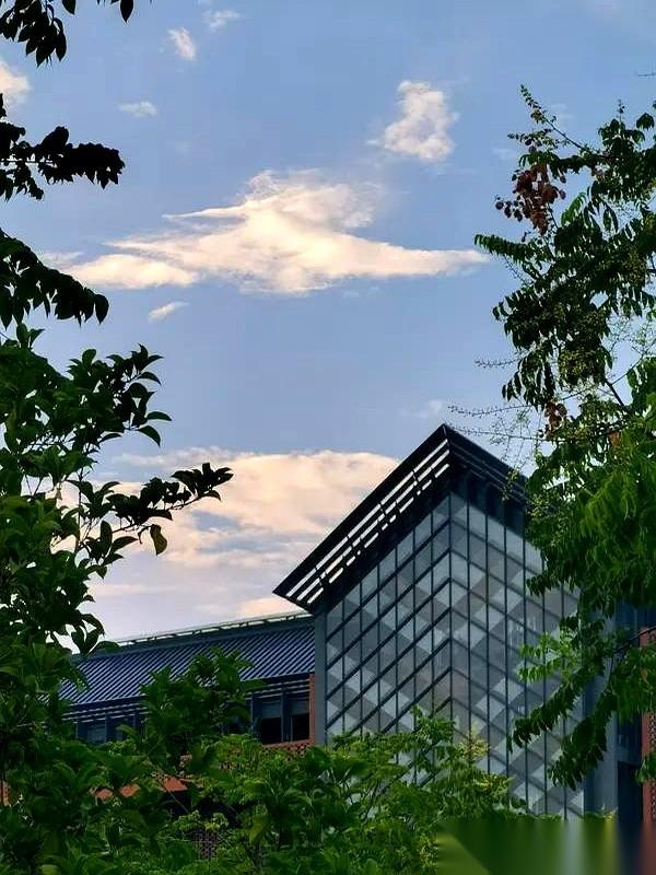 老天爷追着喂饭，都快把勺子怼你嘴里了，你还在问要不要张嘴。文科530，理科48