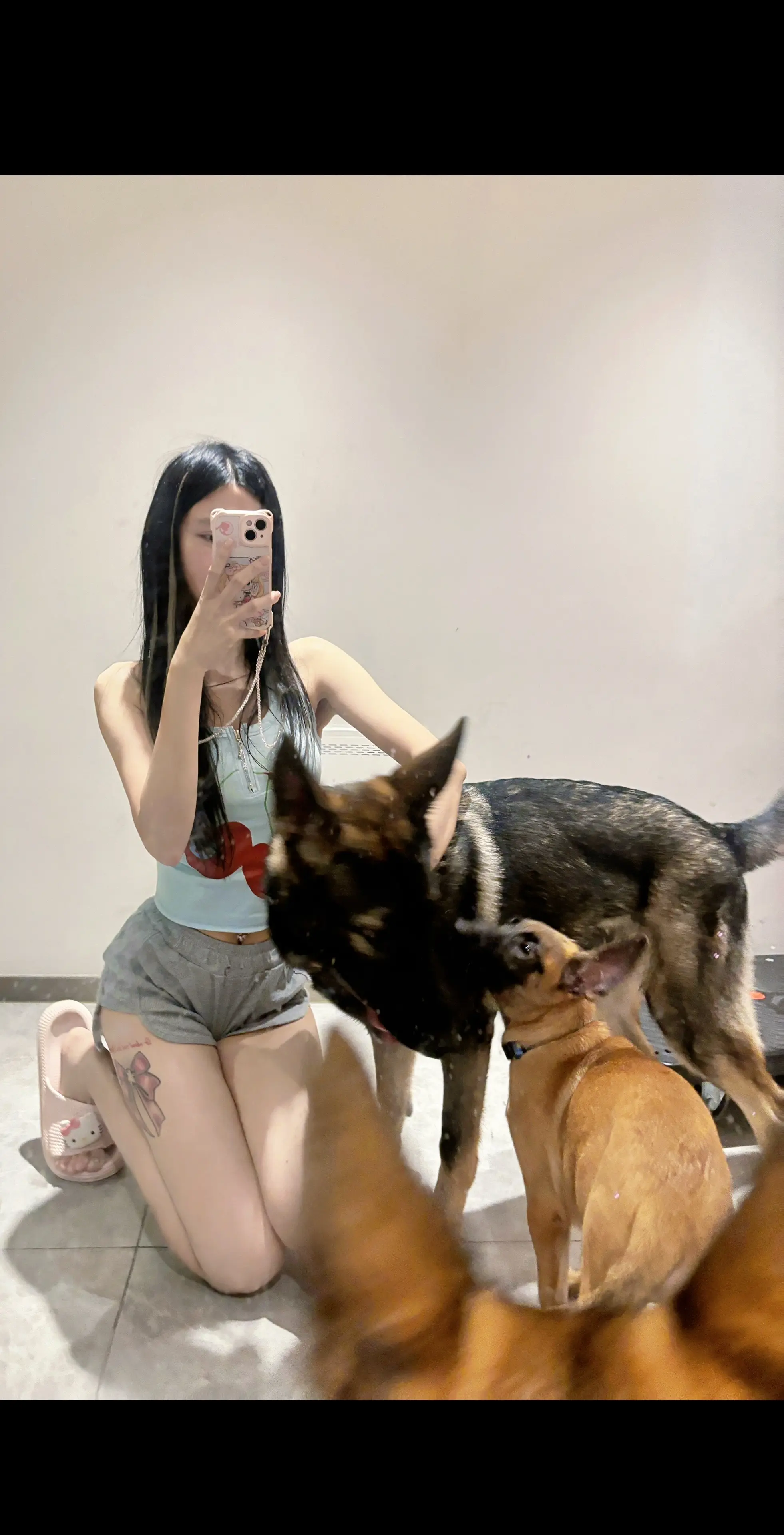 永远太远了 明天陪我遛狗吧