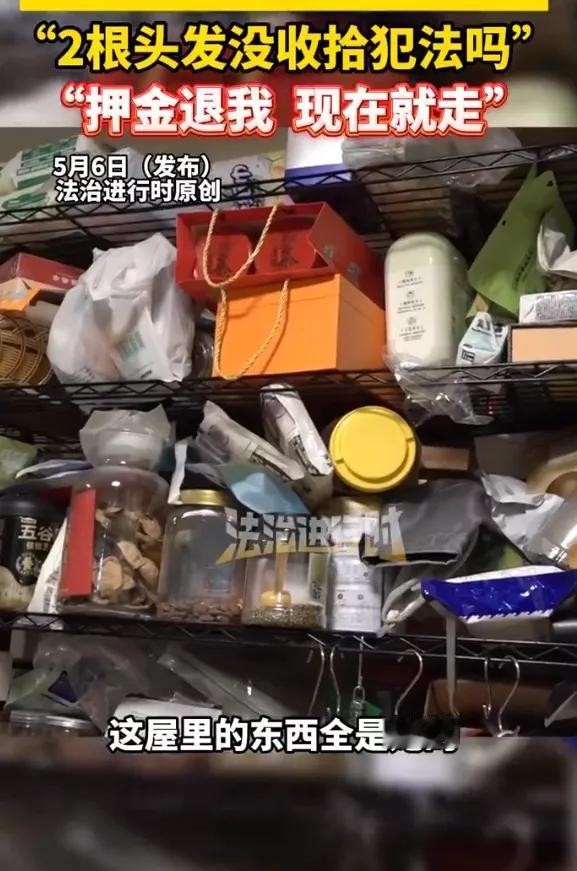 只因为掉了几根头发就惊动了警察叔叔。北京。两个女孩合租在一套房子中。a女洗完