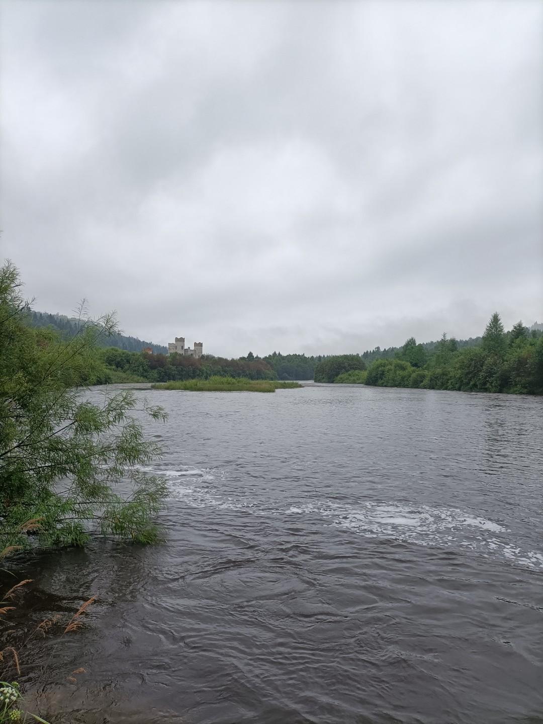 商朝时期的车祸处理结果真奇葩！甲骨文中记载，商王武丁带着众臣们去捕猎犀牛，