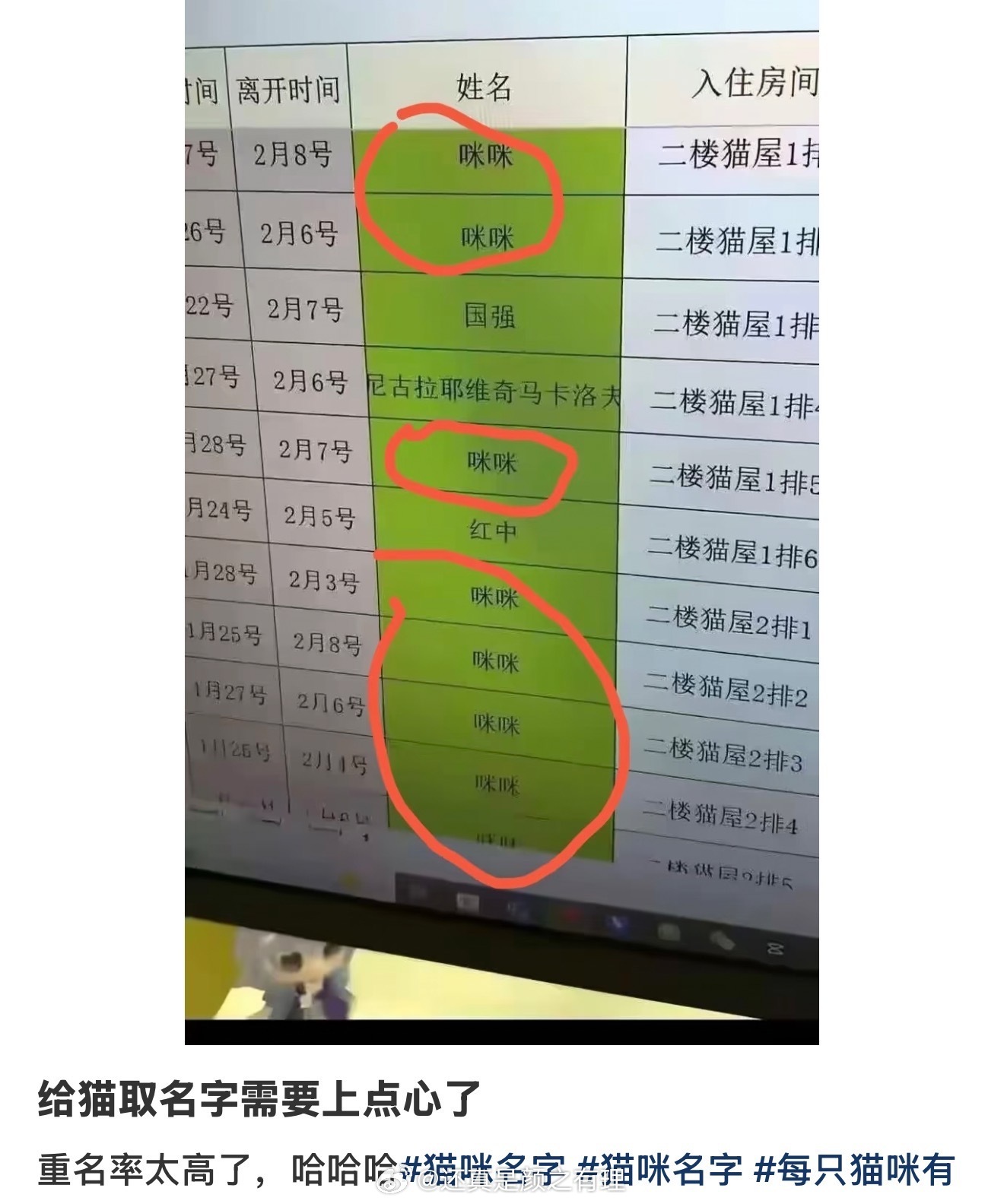 我记得我小时候家里养的猫也叫咪咪[笑着哭]​​​