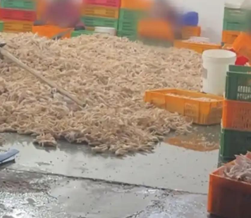 明明记者早就已经知道了黑幕，为何他们不早点曝光，而是非要等到315这天才选择曝光