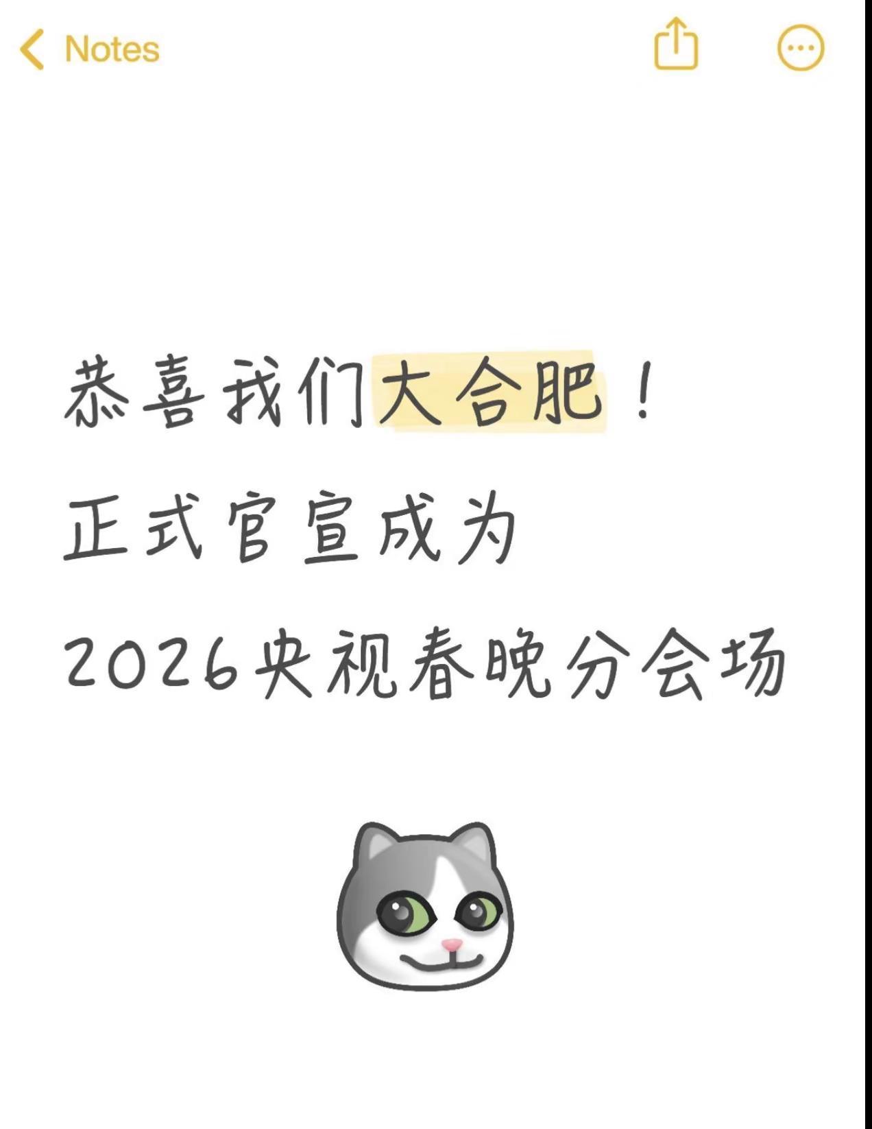 恭喜我们大合肥成为26年总台春晚分会场！谁懂啊！官宣宣传片里，主城的逍遥津、明教