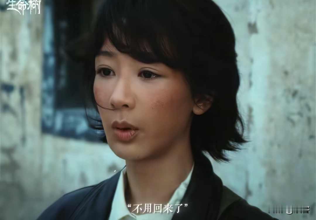 生命树：多杰失踪，白菊心如死灰与邵云飞分手，邵云飞选择永远留下！师父多杰失踪，