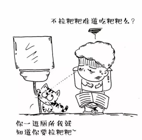 猫咪的偷窥绝不仅限于您洗澡和拉屎时还有更污的就是你在啪啪啪