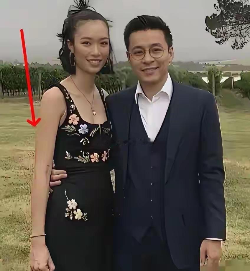 香港有钱人找媳妇看重实力这事，还真挺有门道。就拿霍启仁老婆南风来说，外貌上她不算