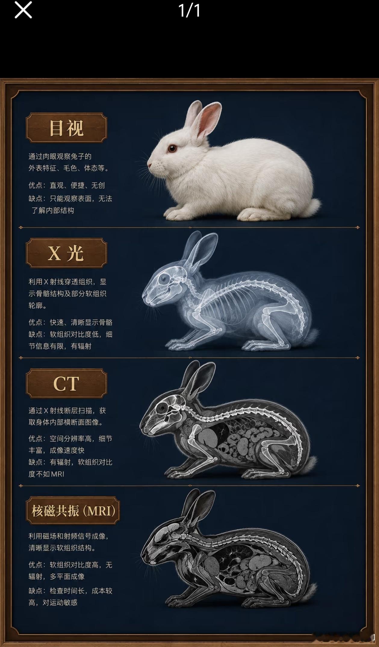 一图看懂X光、CT、核磁共振的区别！​​​