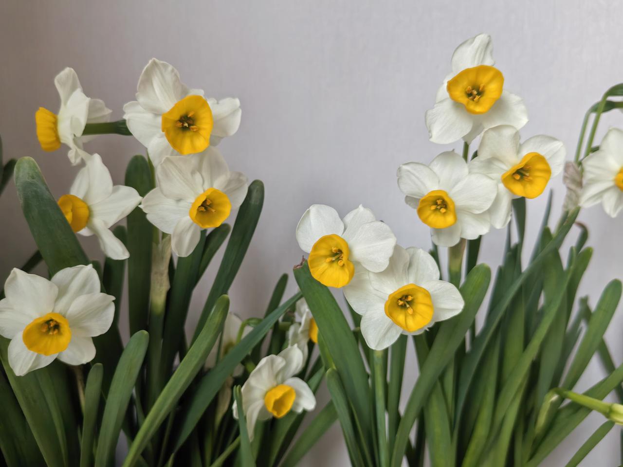 我能接受自己老去的模样，可是我的亲友不能。春节期间走亲戚，发生了非常不愉快的