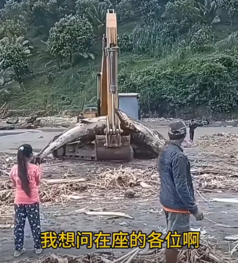 见过这么大的淡水鱼吗