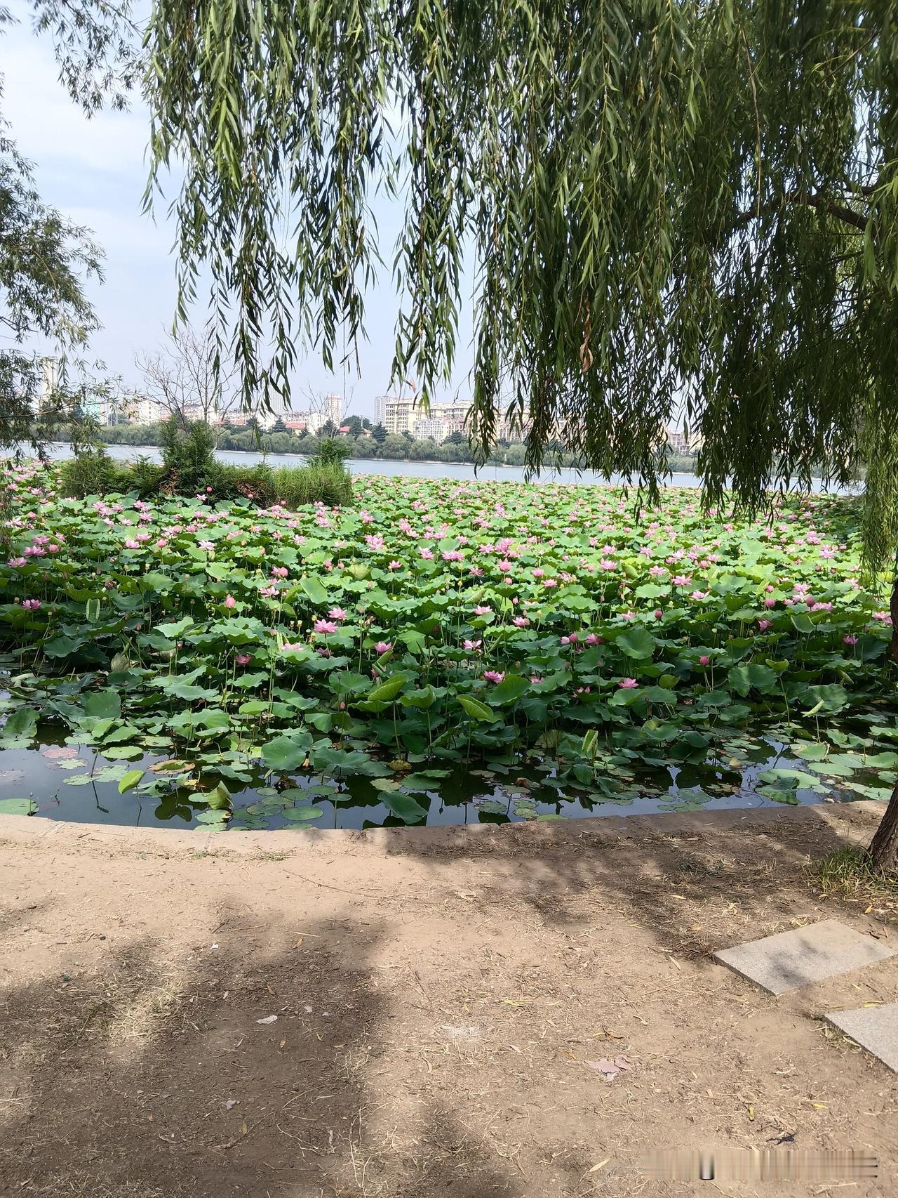 混社会，要明白的社会潜规则1.经济允许，一定要雇个保姆，富人都懂这个秘密。