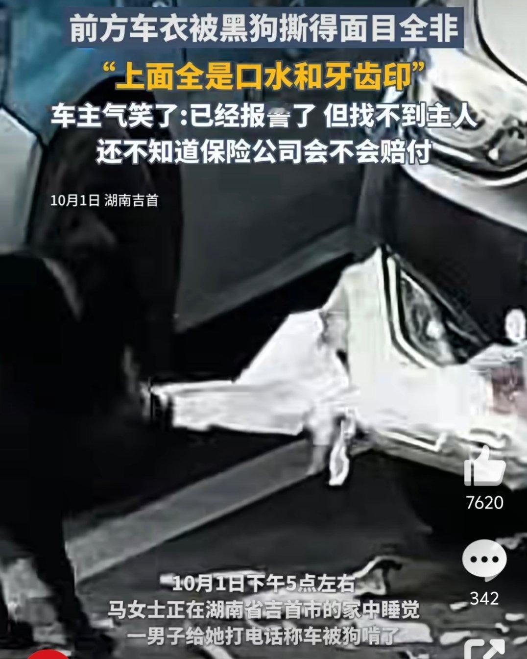 车被黑狗啃到面目全非但有一说一，这个车看着真的很薄，像纸壳子似的，有种被撕下来的