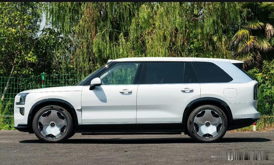 2025微博年度MPV车型，我觉得应该在问界M9和极氪9x之间二选一！