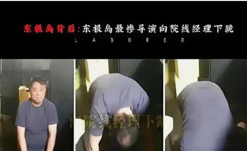 方励怎么下跪了？最近这事儿又冲上热搜，不少人纳闷——七年前跪过票房，现在又