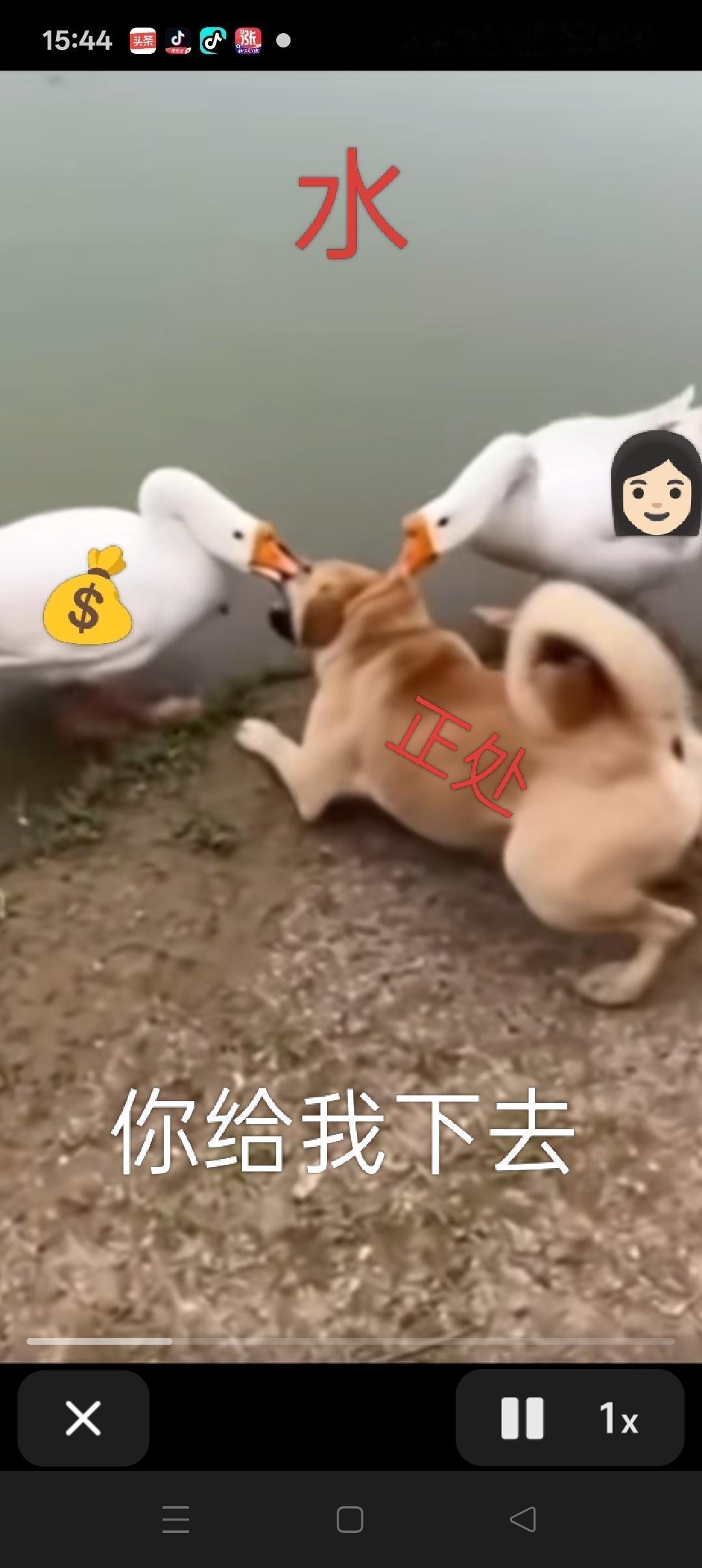 【官员“落马”成为头条最具冲击力的高频话题】关于反腐，每月每周，甚至每天，都有贪