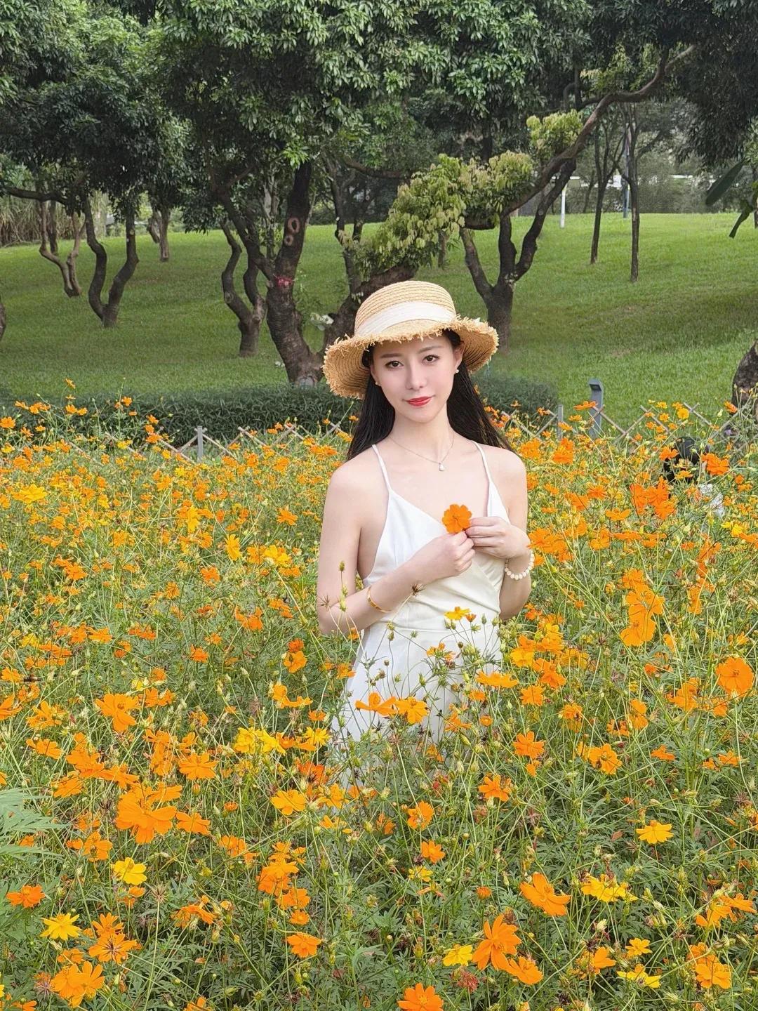 如果吻她一下会穷三年，但你愿意吗