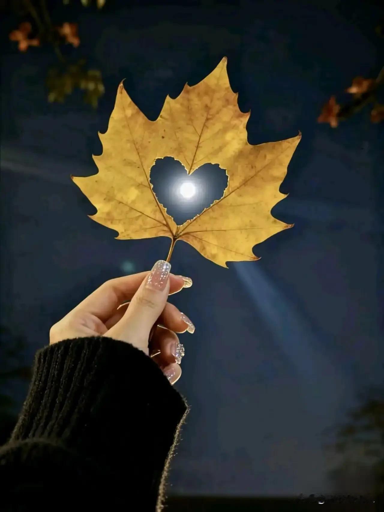 年过花甲的人都深深体会到自己已经成为了三无人员，成为子女照料孙子孙女的，免费的保