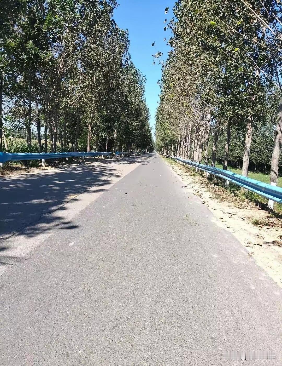 昨天和丈夫发生了激烈争执，原因是他大嫂做手术住院，大嫂的家人来探望，但婆家没有人