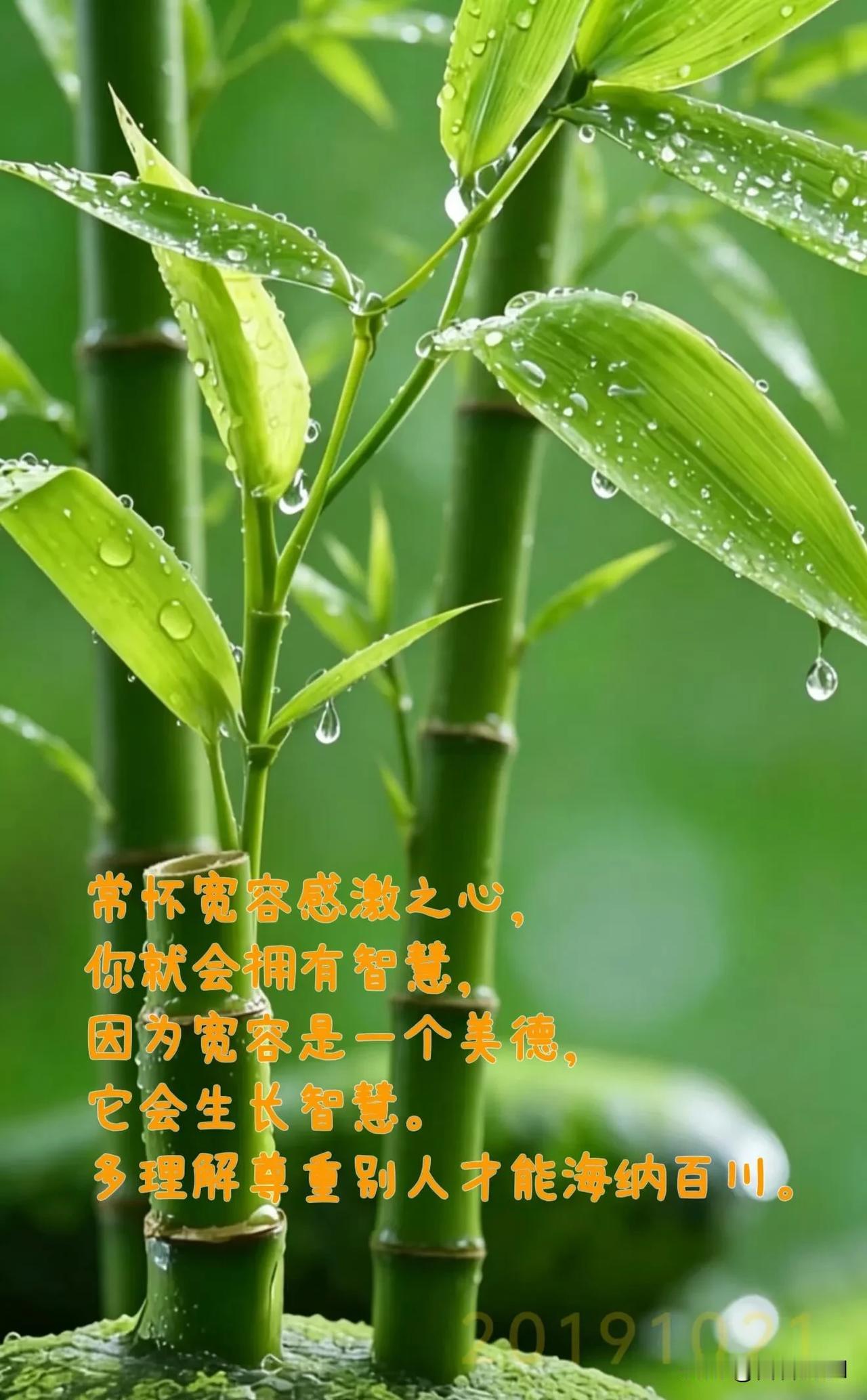 褪去昨夜疲惫，带着善意出发，今日好运满满。
