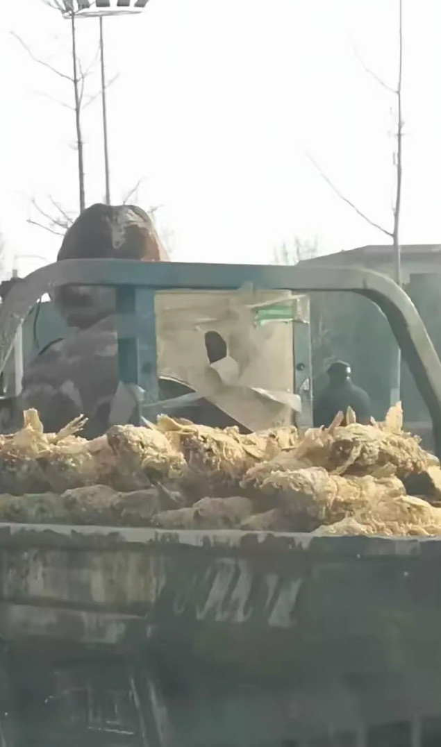 至少用塑料袋遮一下呀