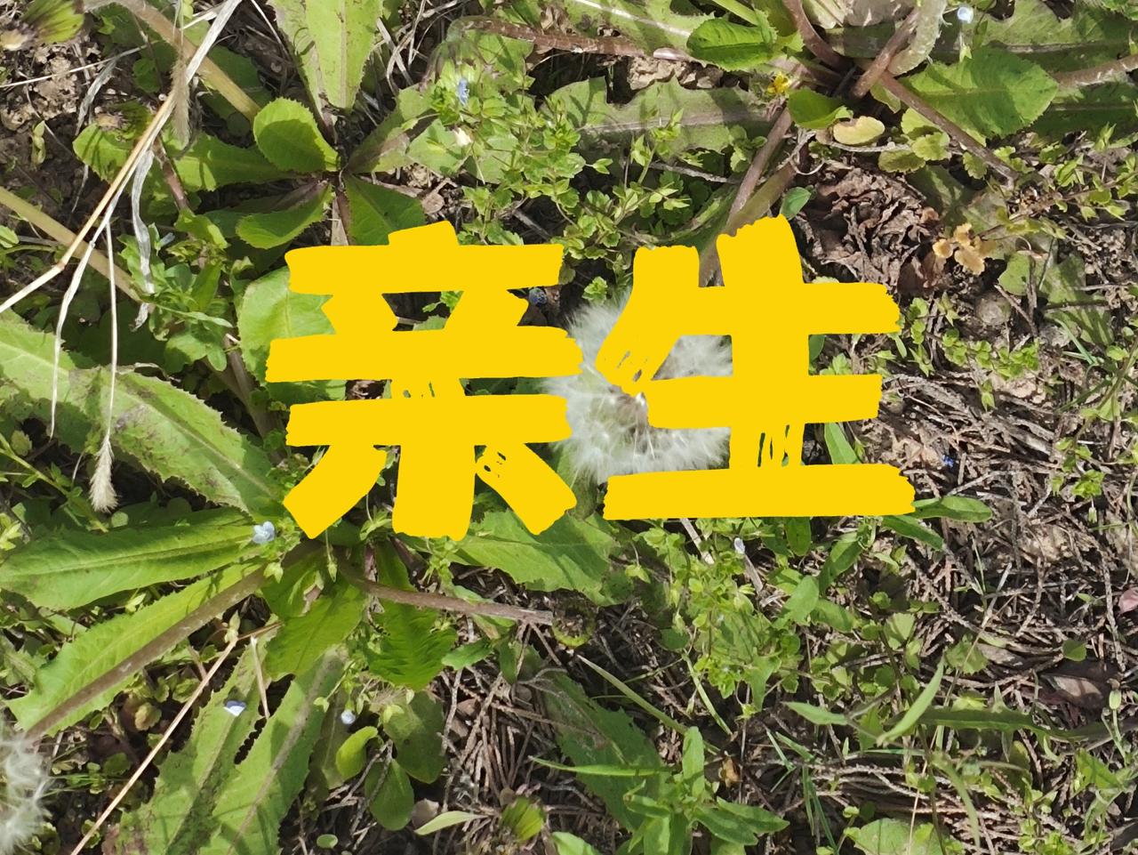 你生下来，我养做什么亲子鉴定？不是为了舔你！或许是因为孩子是无辜的！孩子没