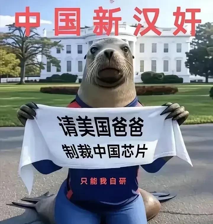 倒反天罡！米粉大骂花粉是汉奸，仅仅是因为花粉说“不被美帝制裁就是假自研”，还搞出