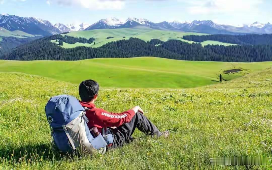 人旺财不旺！旅游热度创新高，大批旅行社却撑不住了2026年暑期，国内出游人次