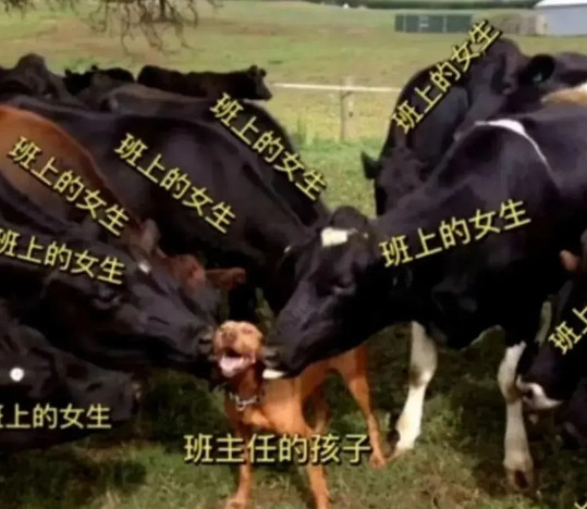 当你们班主任把他五岁儿子带到班里面之后，这个场景形象不形象？