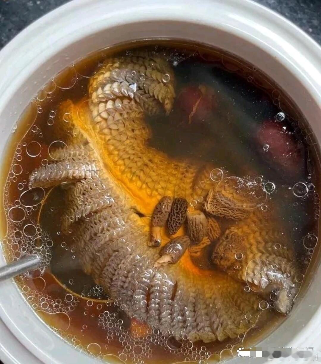 我敢打赌北方人吃过这个美味的不多