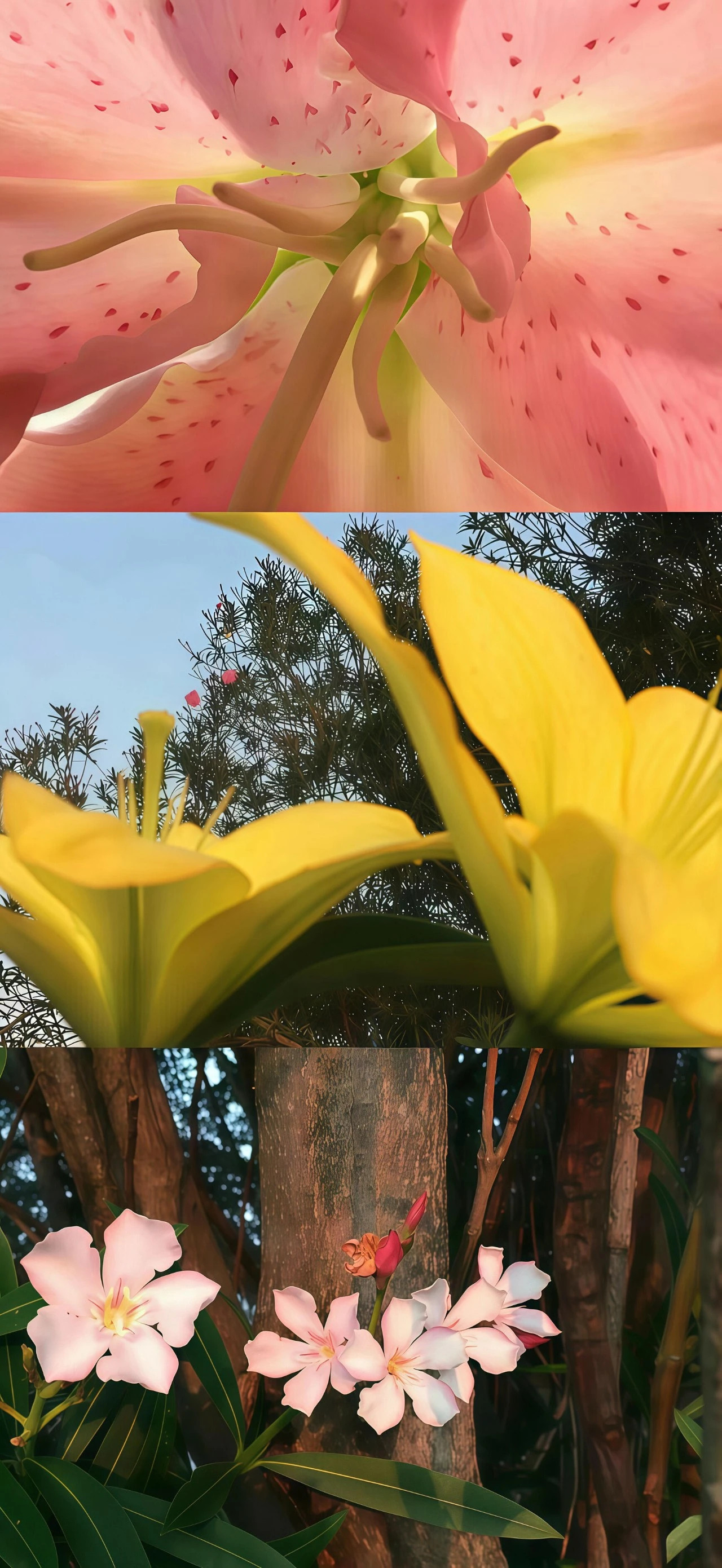 壁纸分享｜高清无水印｜好看壁纸｜​​​