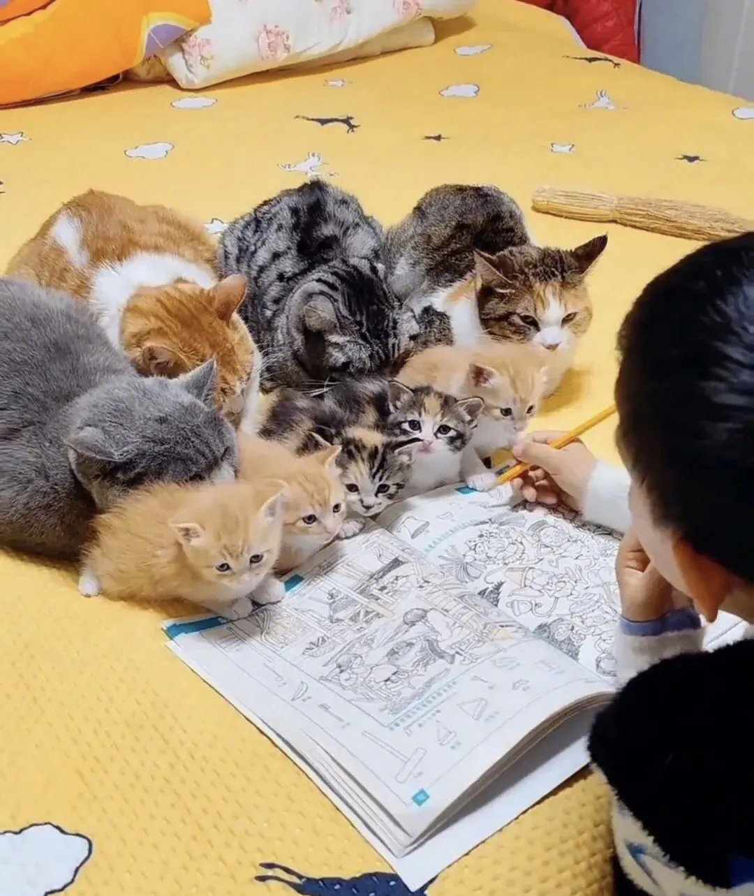 看出来了，这班的学生全是学渣，学到最后都打起瞌睡来了！