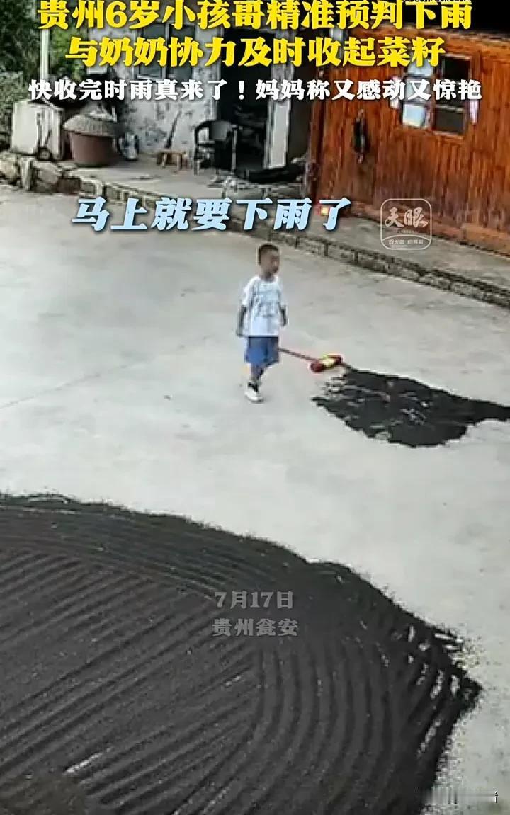 太神奇了！7月17日，贵州瓮安一名女子发视频称，婆婆在家晒菜籽时，6岁的孩子在旁