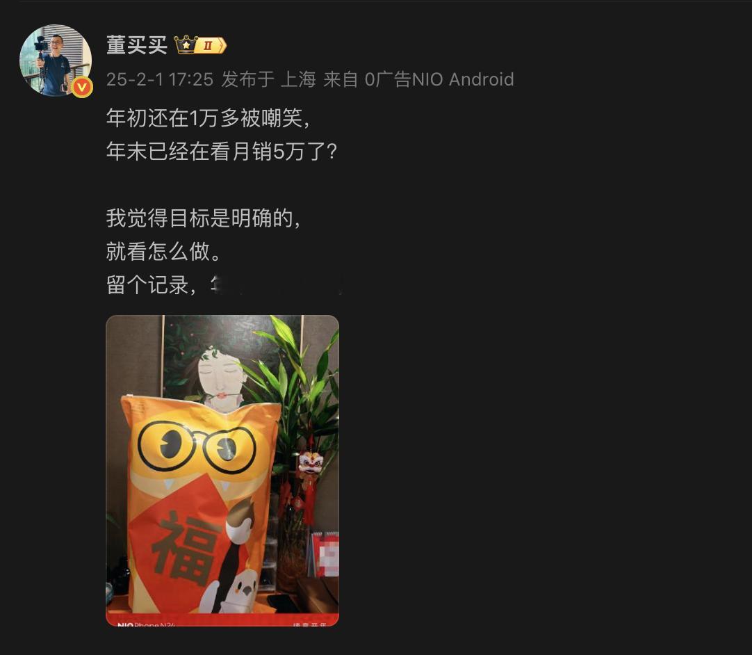 2025年第二季度NIO财报电话会，董买买记录版，我一边在听，一边在忙别的，如果