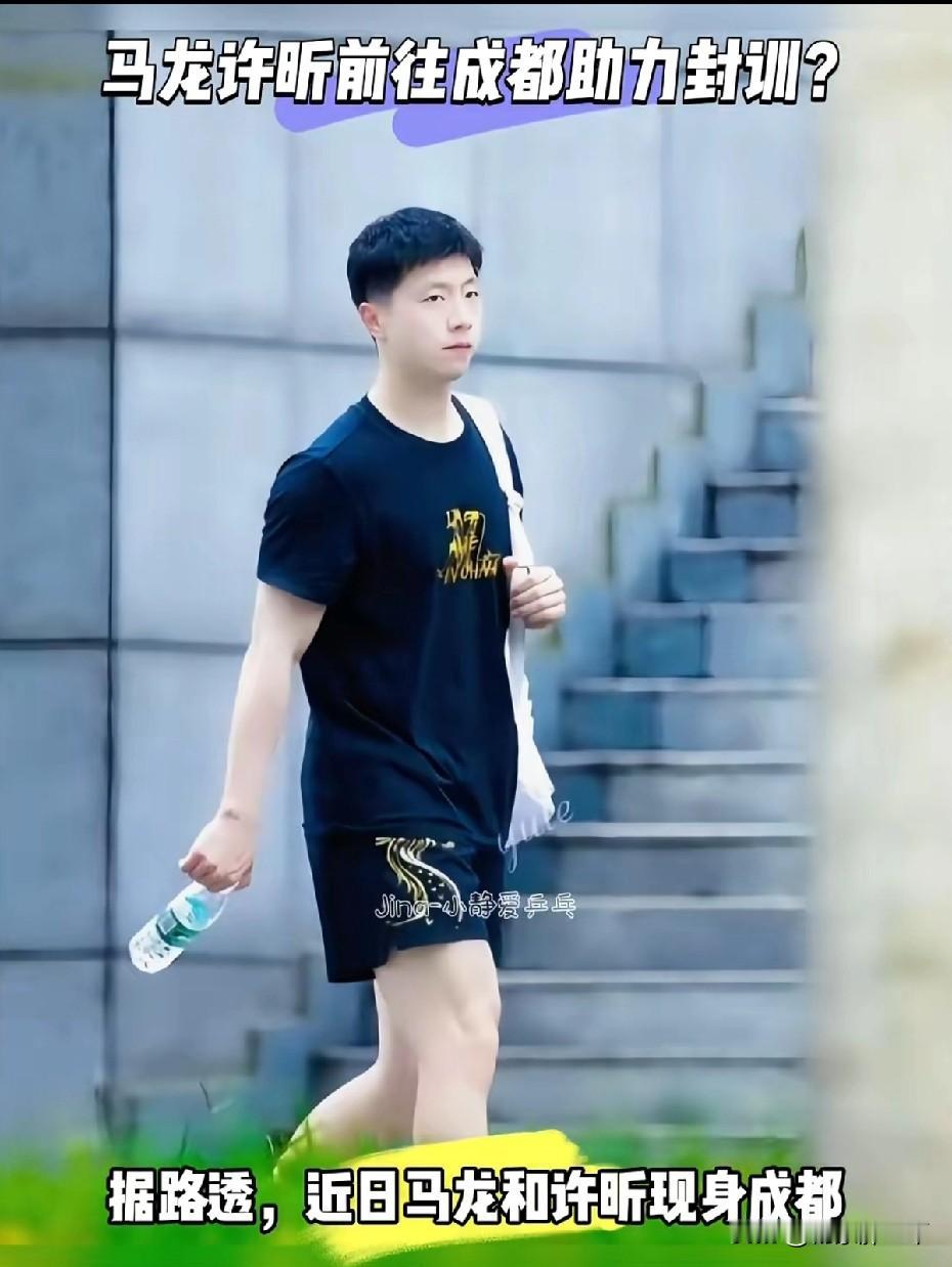 龙蟒归队暖成都！马龙许昕甘当绿叶，国乒冲伦敦更有底！成都集训营里，熟悉的身