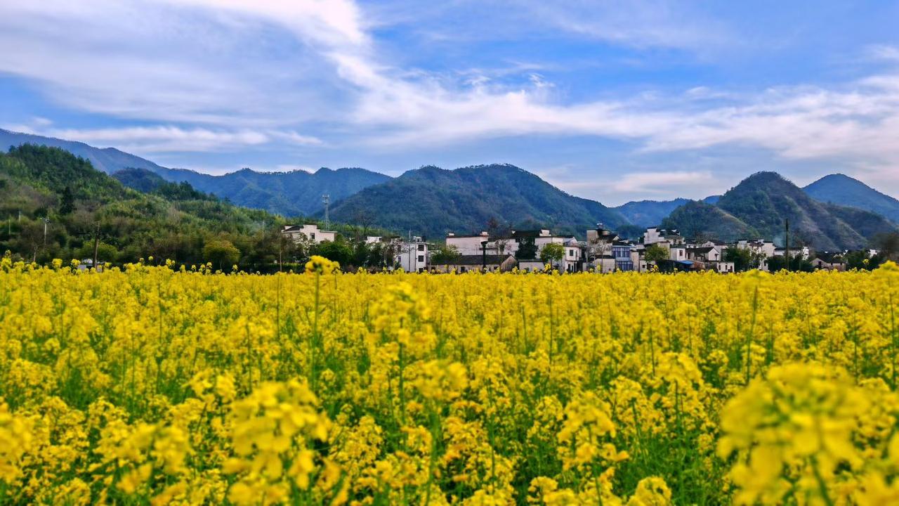 世界再大，有人在乎，就是最大的幸福人这一辈子，走的路越来越长，见的人越来越