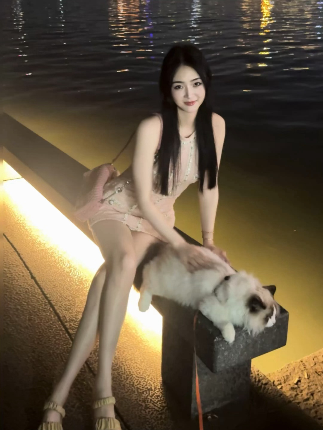 西湖边偶遇社牛猫猫​​​