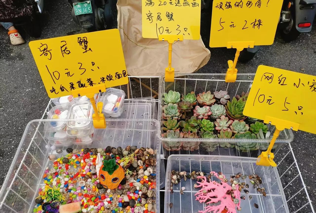 小孩哭哭啼啼打电话给我，说表哥表姐又欺负他了，于是我就立马打电话给小姑子了。昨